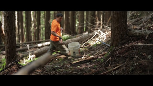 Peak to Creek The Retallack Trailbuilding Experience Episode 4 from Freehub Magazine