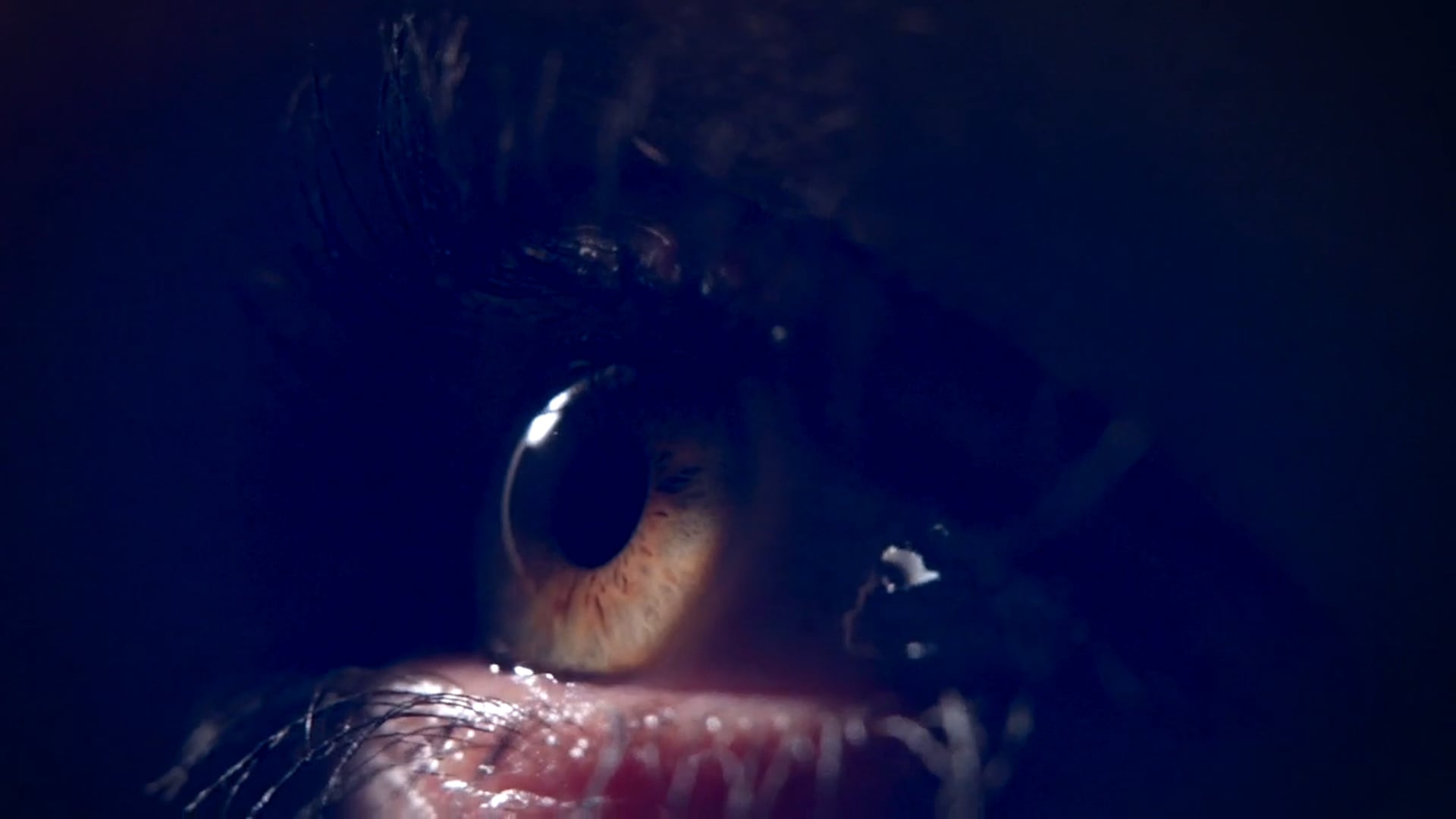 Cinematography Show Reel