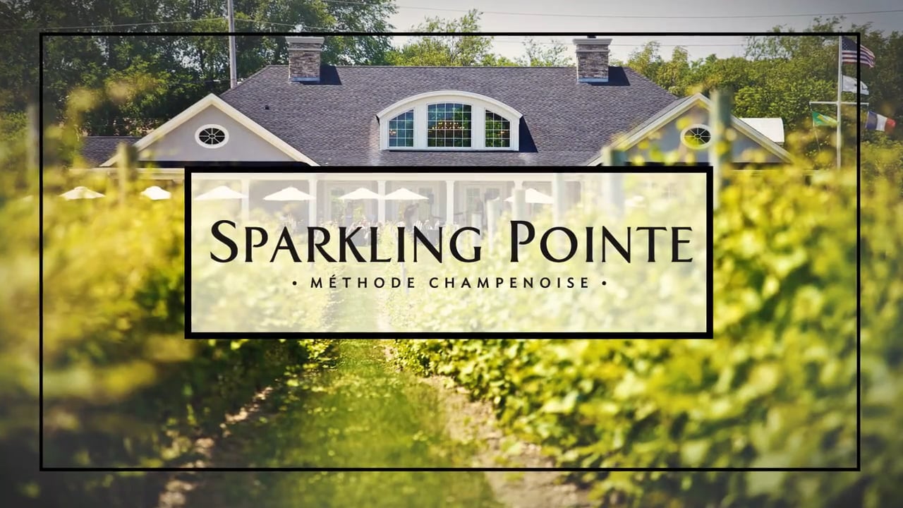 Sparkling Pointe Vineyards and Winery Weddings