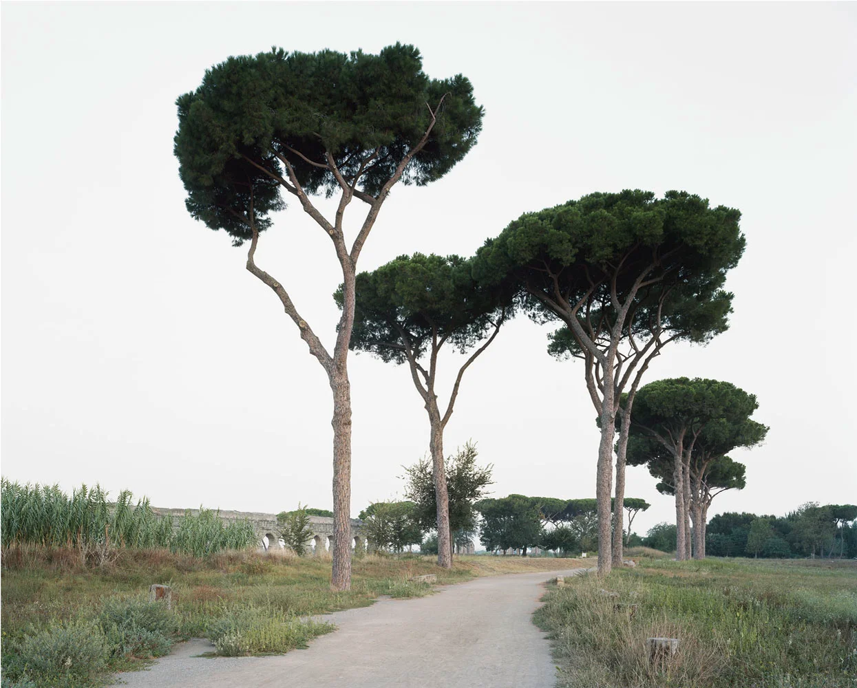 Hans-Christian Schink - Kehrer Verlag