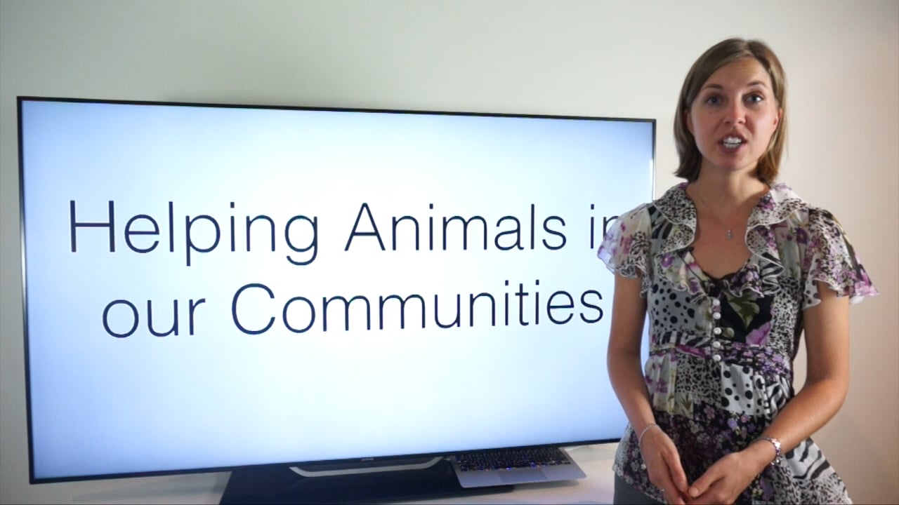 Making a Difference - Video 13 on Vimeo