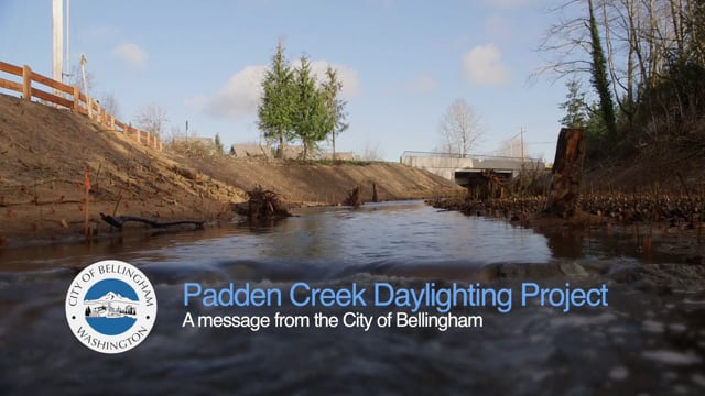 Padden Creek Daylighting Project