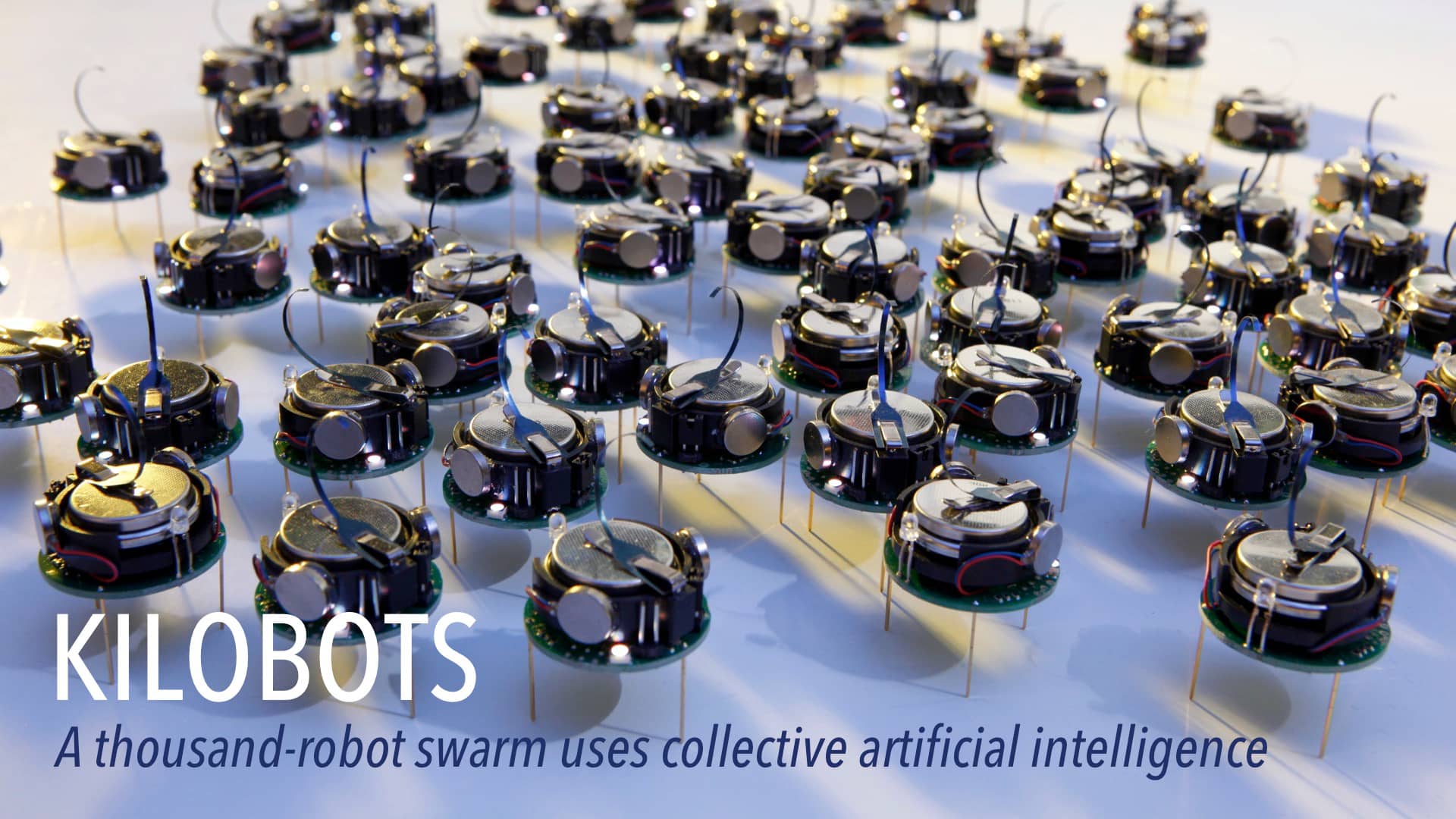 Kilobots: A Thousand-Robot Swarm on Vimeo