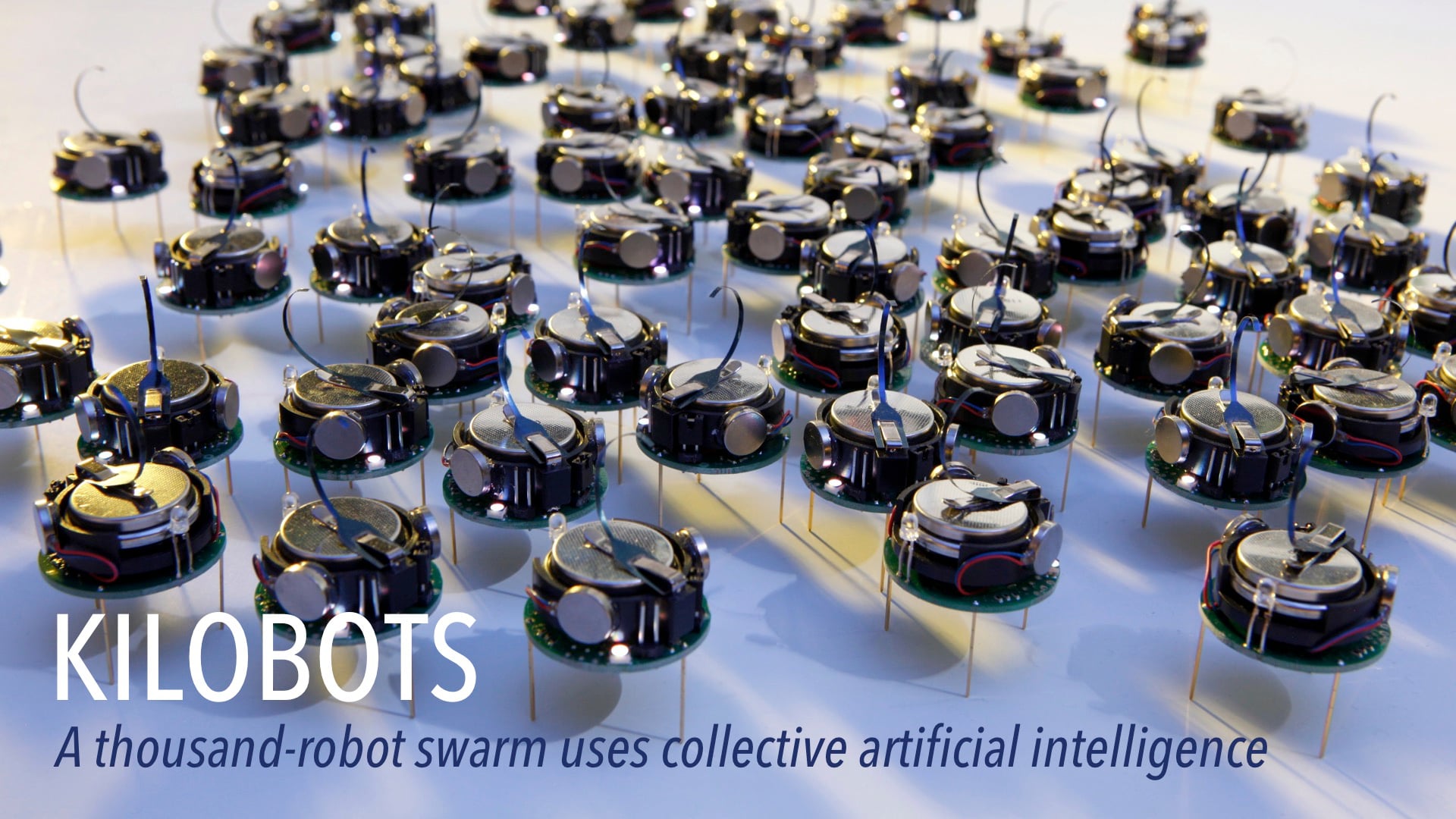 Kilobots: A Thousand-Robot Swarm