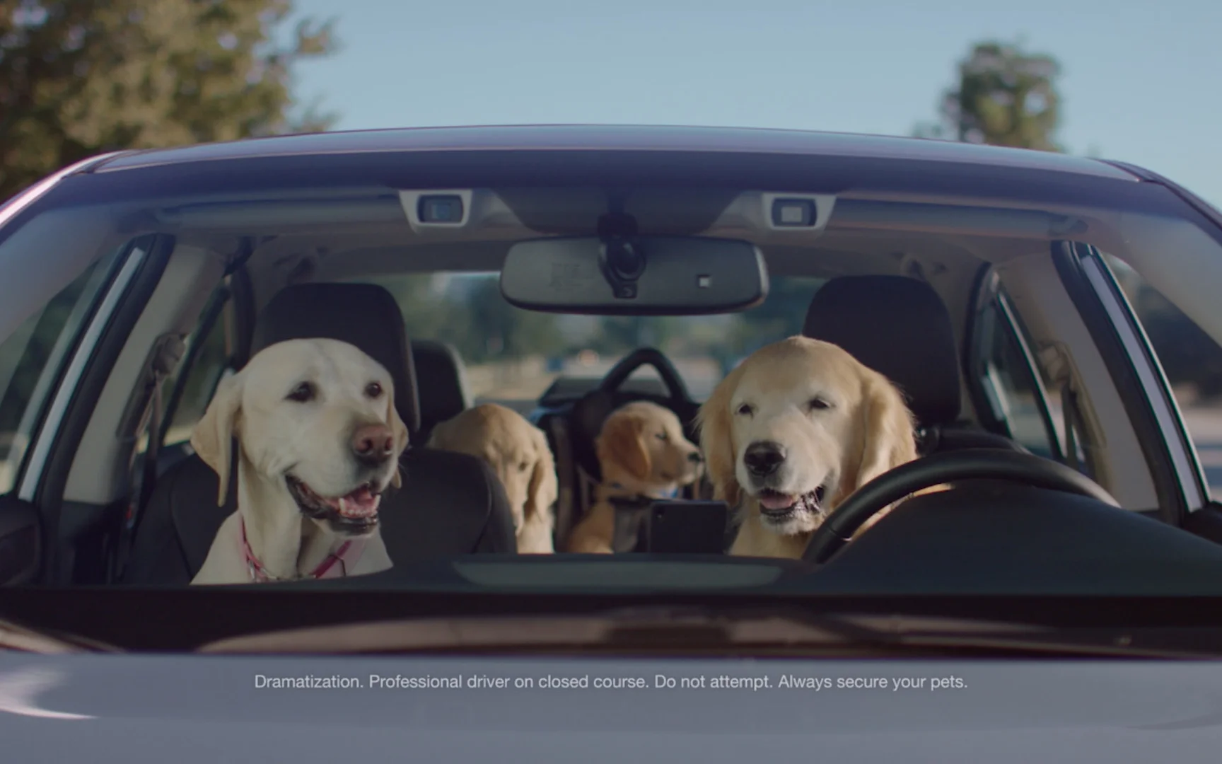 Subaru weenie dog hot sale commercial