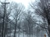 Waaaaay too-short winter
