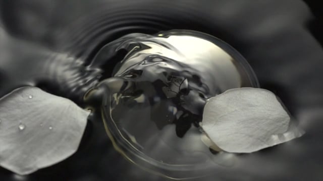 ABSOLUE - personal work