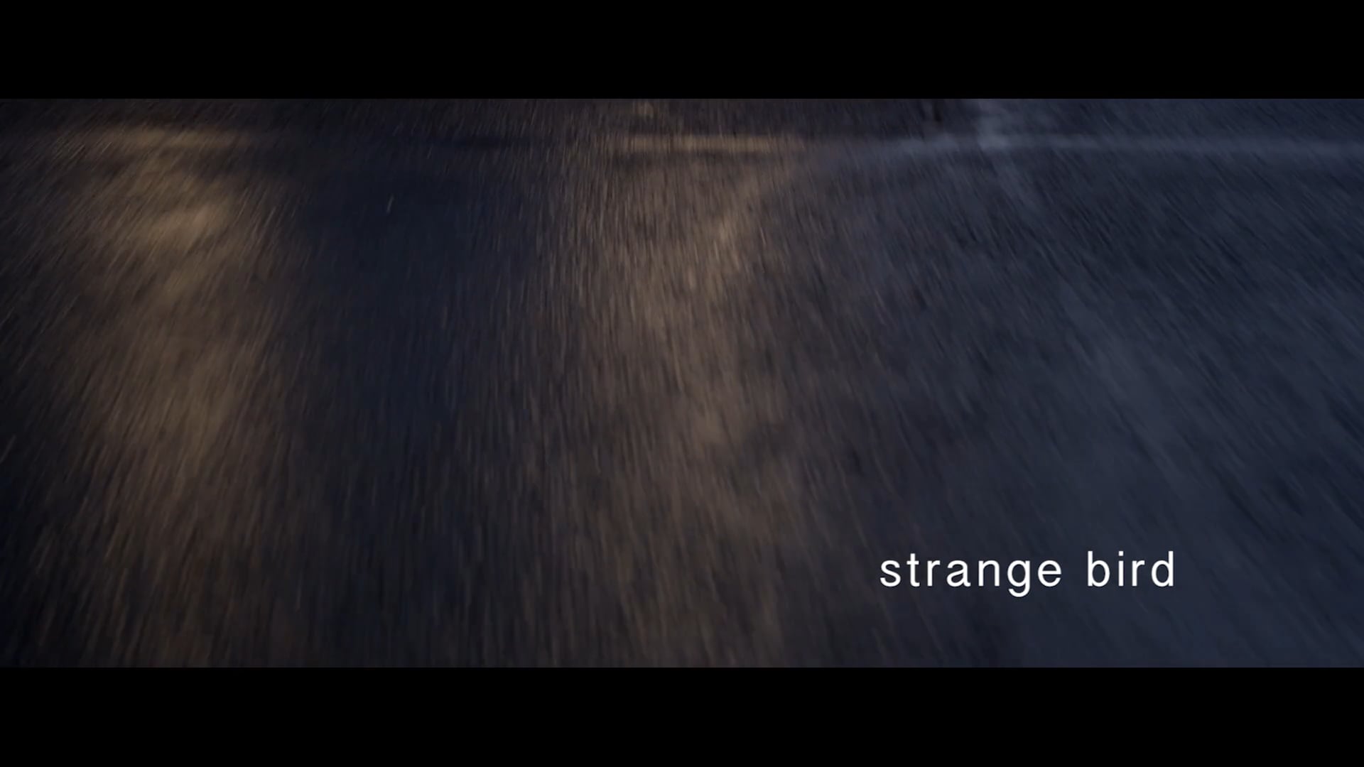 Strange Bird Teaser