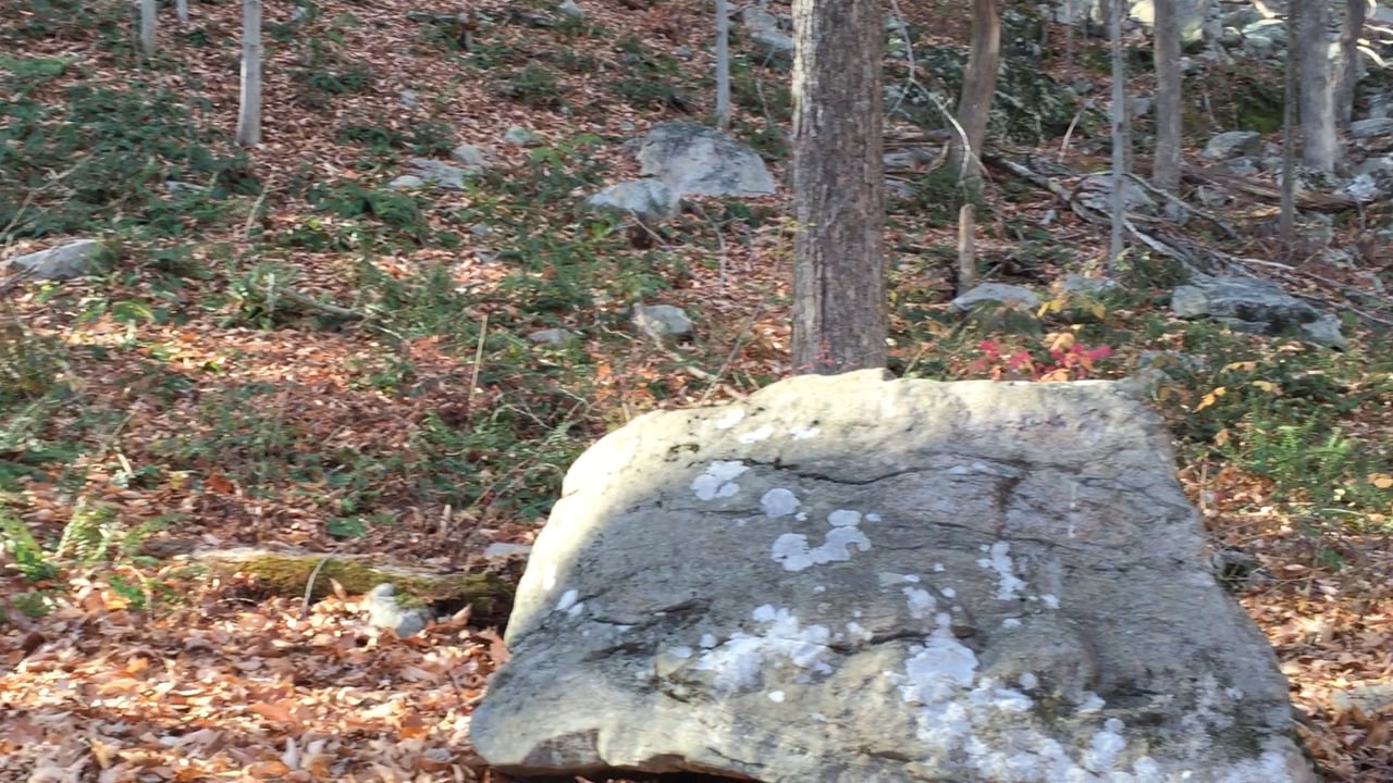 A tour of New Pond Farm's Woodland Indian Encampment