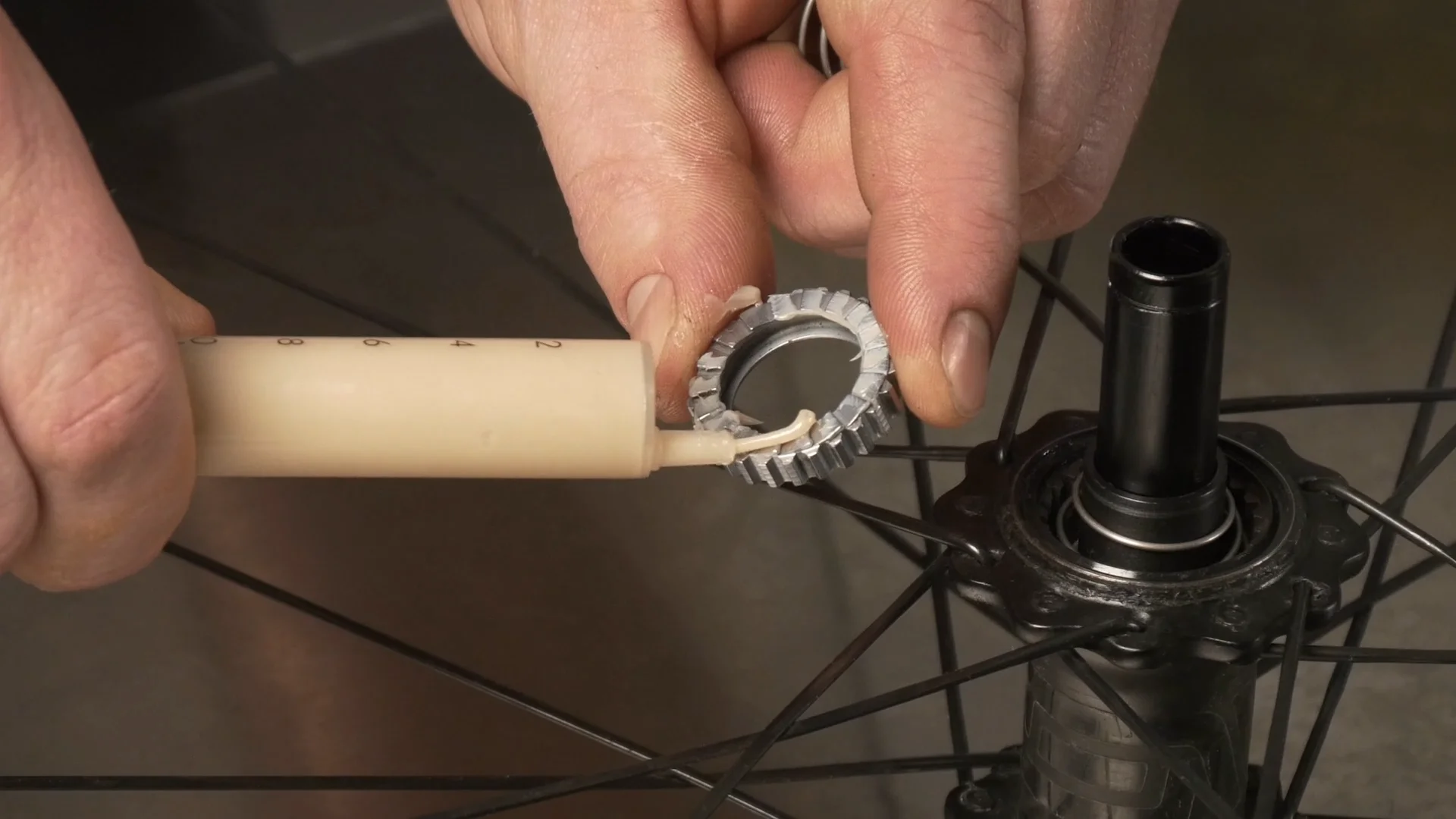 Gen 1 Carbon Road Hub – ENVE Support Center Home Gen 1 Carbon Road Hub – ENVE Support Center Home