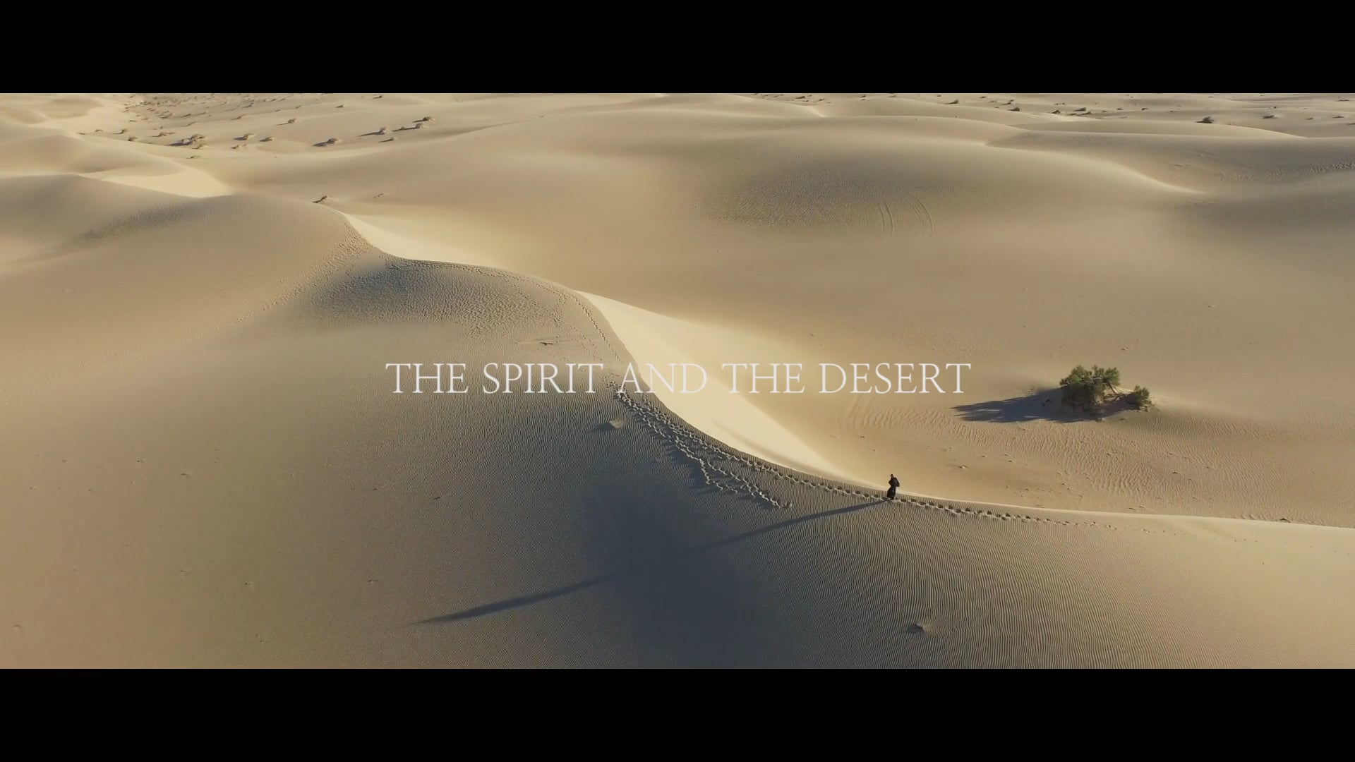 The Spirit and the Desert | Segment 10 | The Wild Goose Series