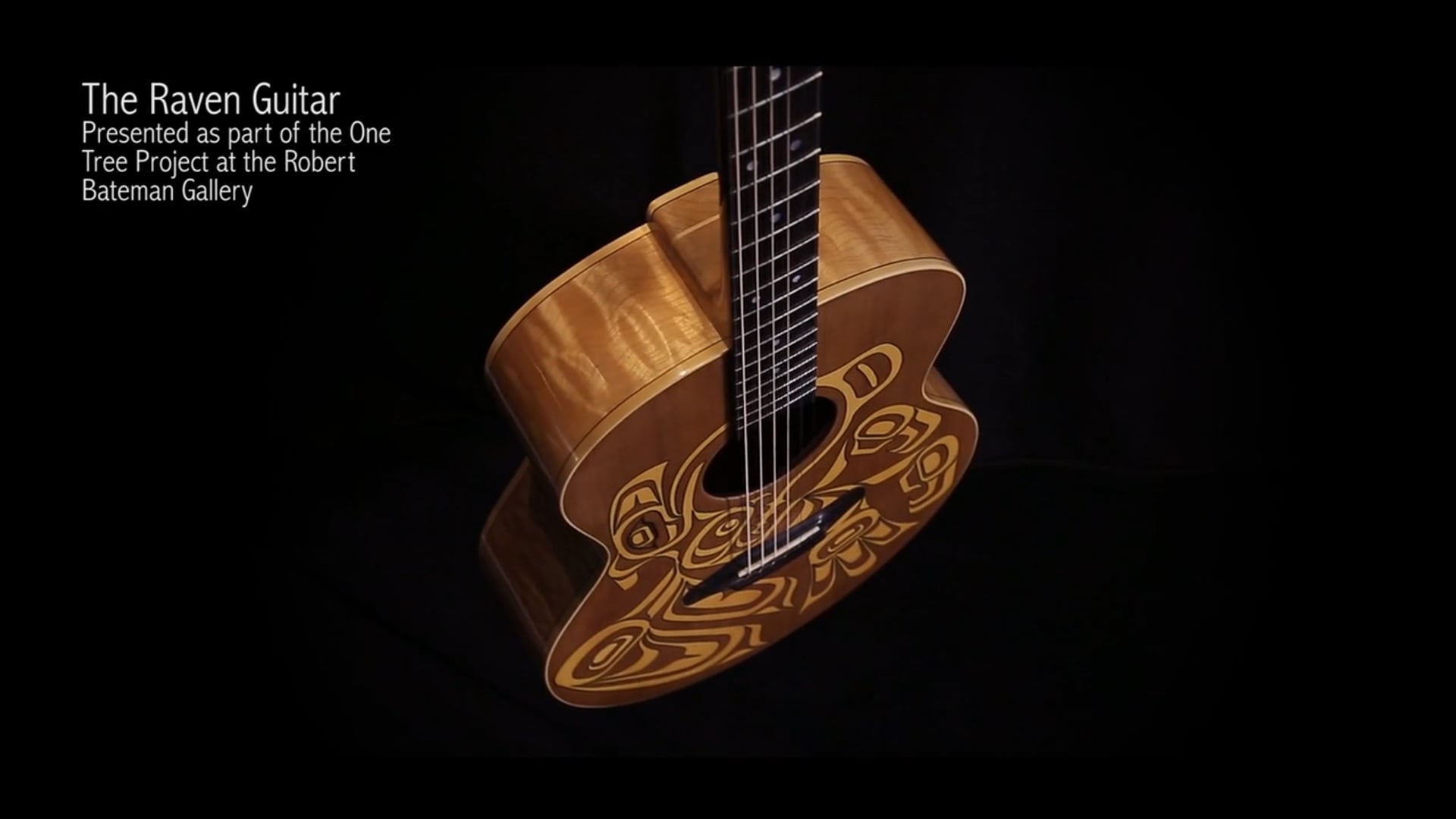 Raven Guitar