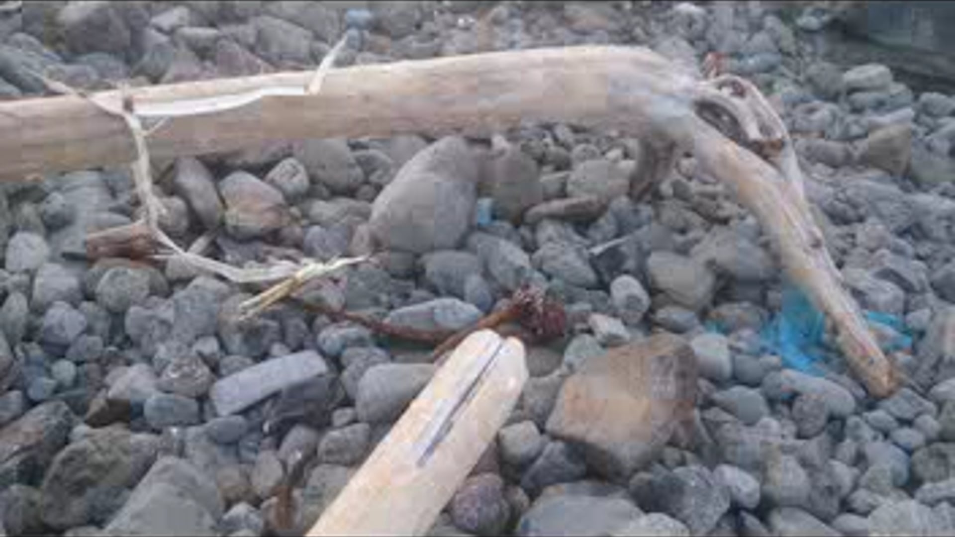 the ocean fights back