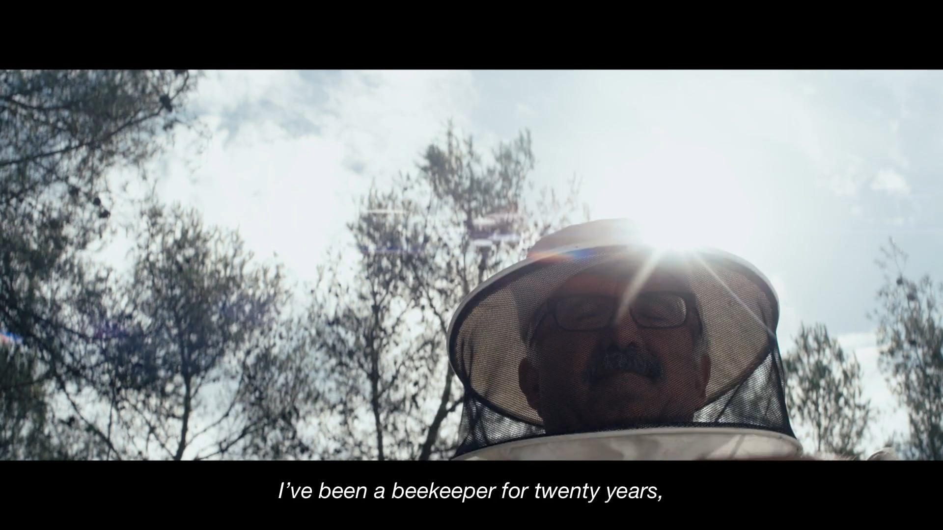 Greenpeace "Save the bees" on Vimeo