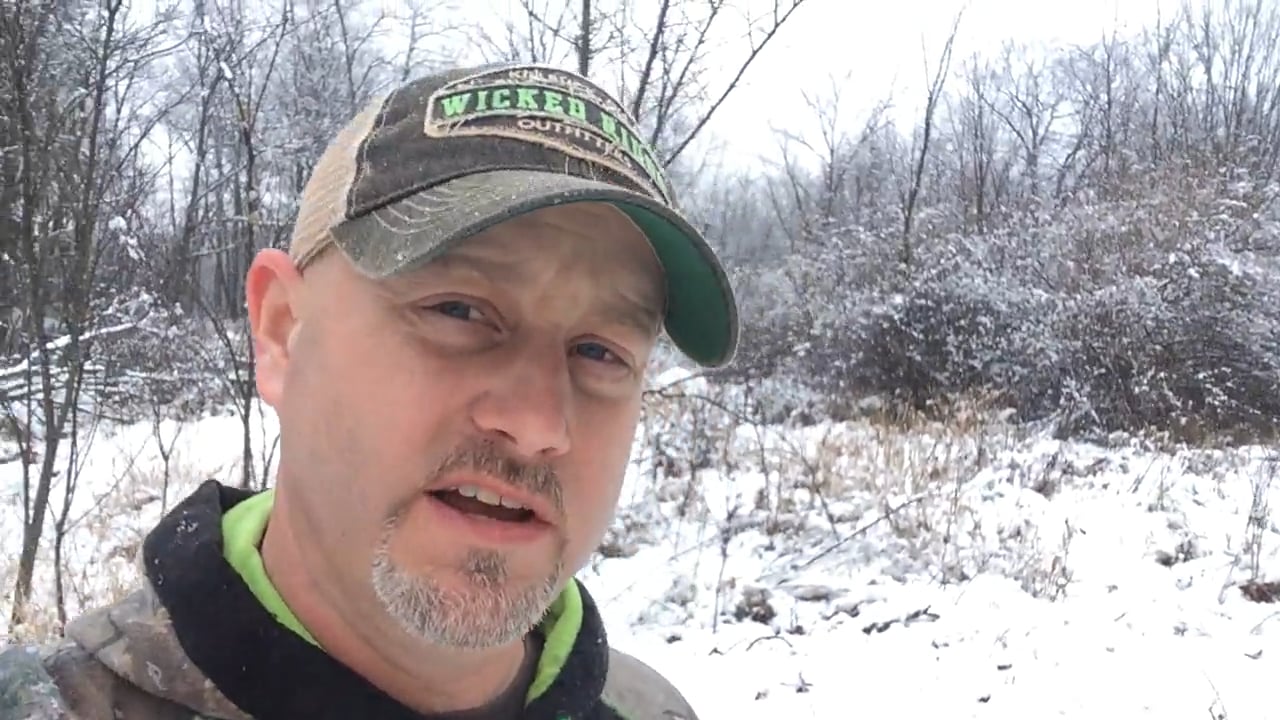 Take advantage of the fresh snow for scouting