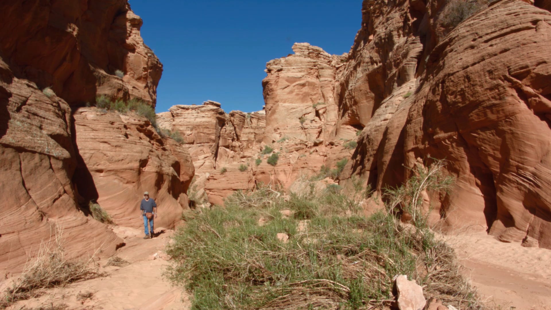 Canyon X