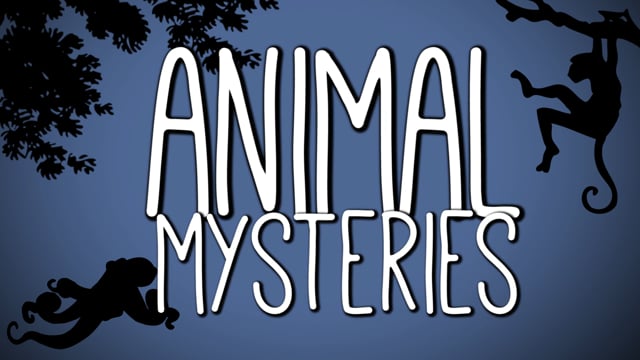 A to Zee of Animal Mysteries (Winner BBC Focus Award, Bristol Science Film Festival 2016)