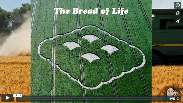 Jesus Is the The Bread of Life