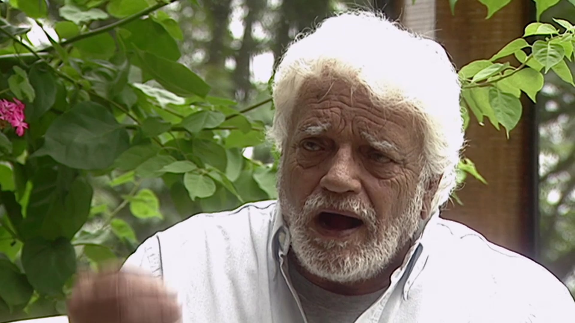 Eu Eu Eu José Lewgoy-HD