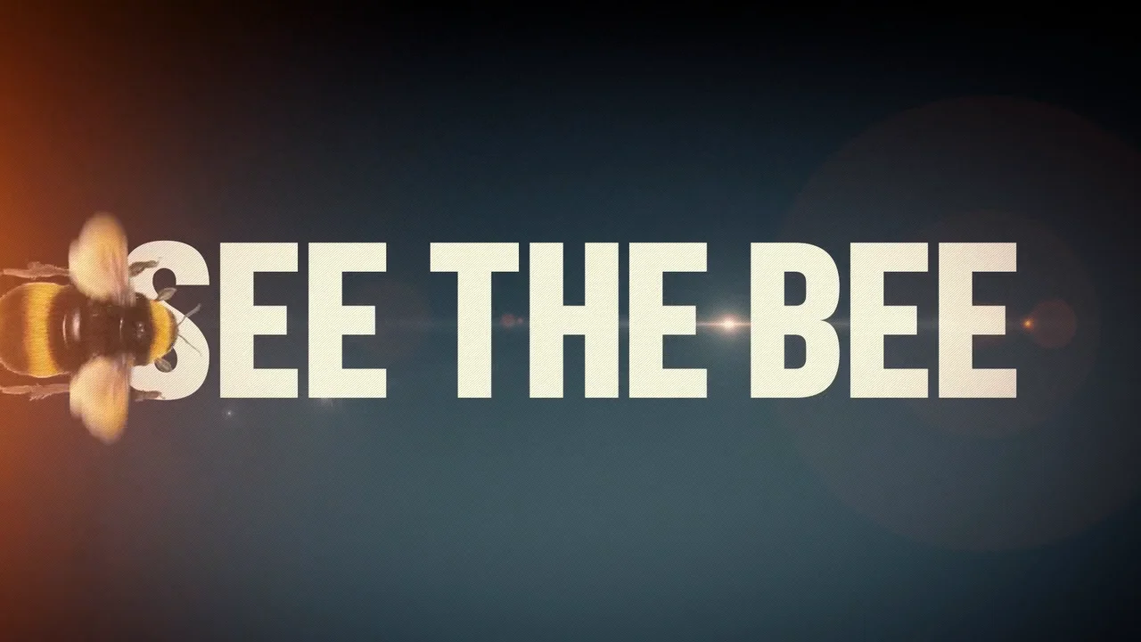 See the Bee on Vimeo