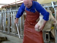 Der erste ergonomische Pilleneingeber f&amp;uuml;r K&amp;uuml;he.