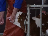 This is &amp;quot;Pilleneingabe mit der Hand&amp;quot; by FAIE Handelsgesellschaft mbH on Vimeo, the home for high quality videos and the people who love them.