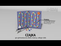 01. Czajka