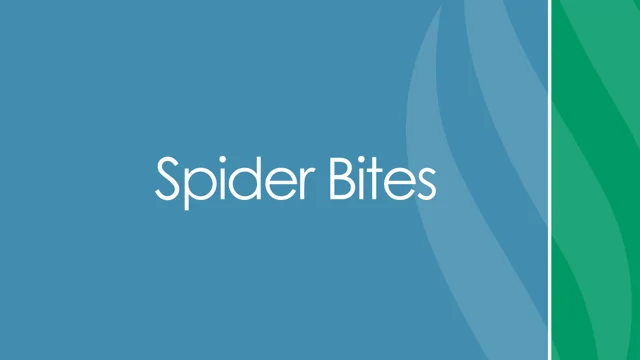 Brown Recluse Spider Bites - Comanche County Memorial Hospital