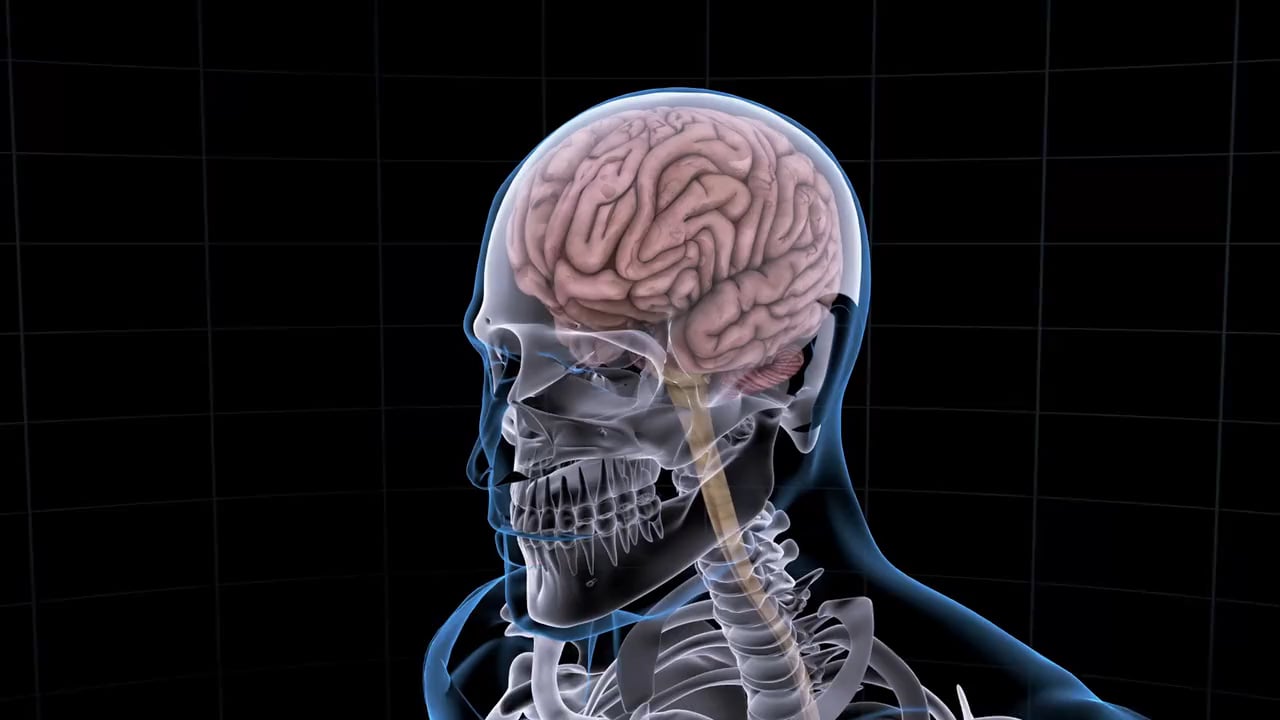 https://i.vimeocdn.com/video/555945628-4fd662ed991cb301a73ee5ff632b4561dcd112d5ef52020b6bae97a2b4f85c39-d