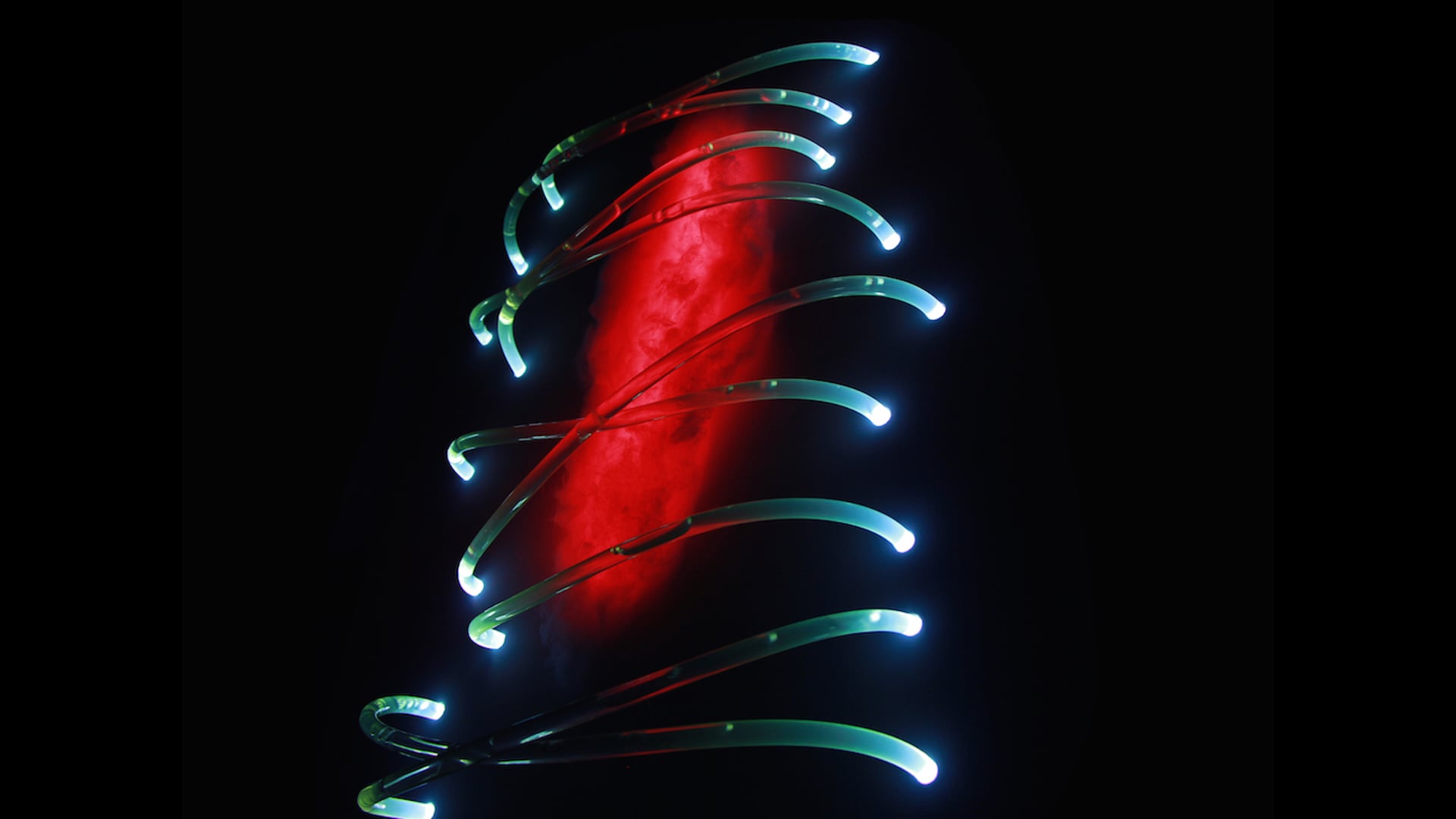 Throb | An Installation