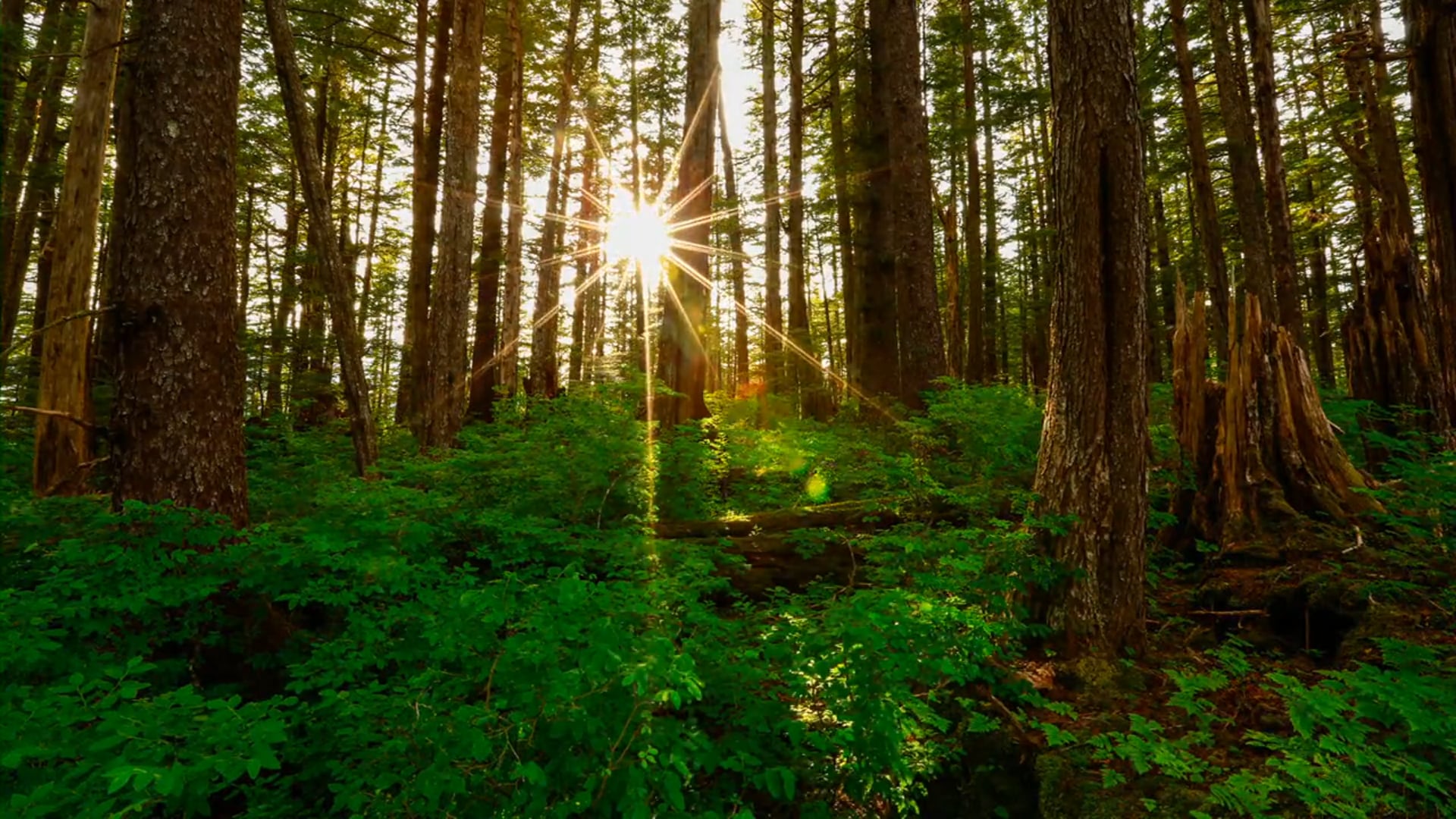 Reality TV Reel 2014 Walter Mather