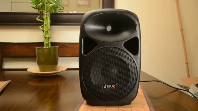 LyxPro Small PA/Speaker Monitor