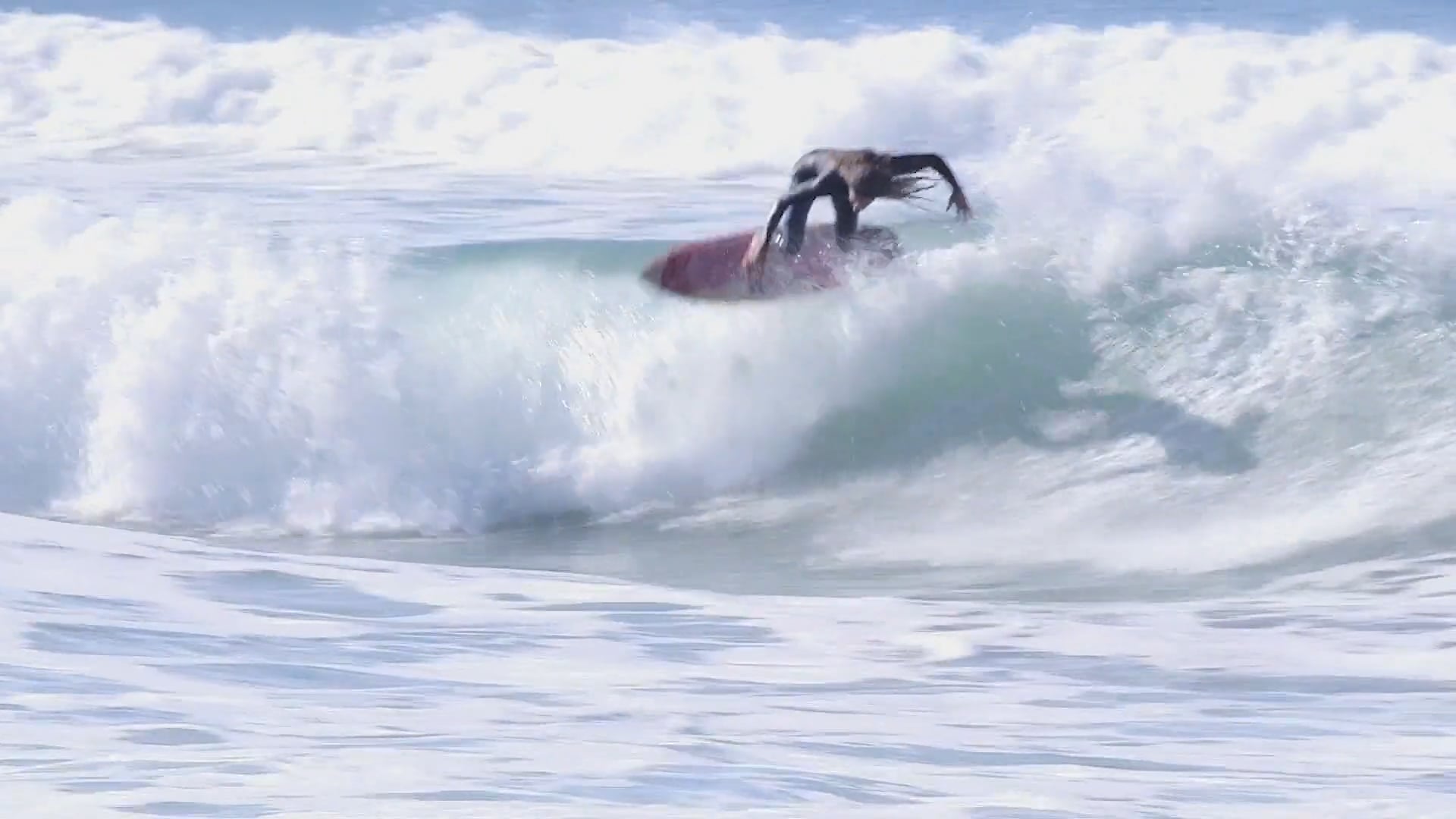 The Almond Butter | Videos & Movies on Vimeo