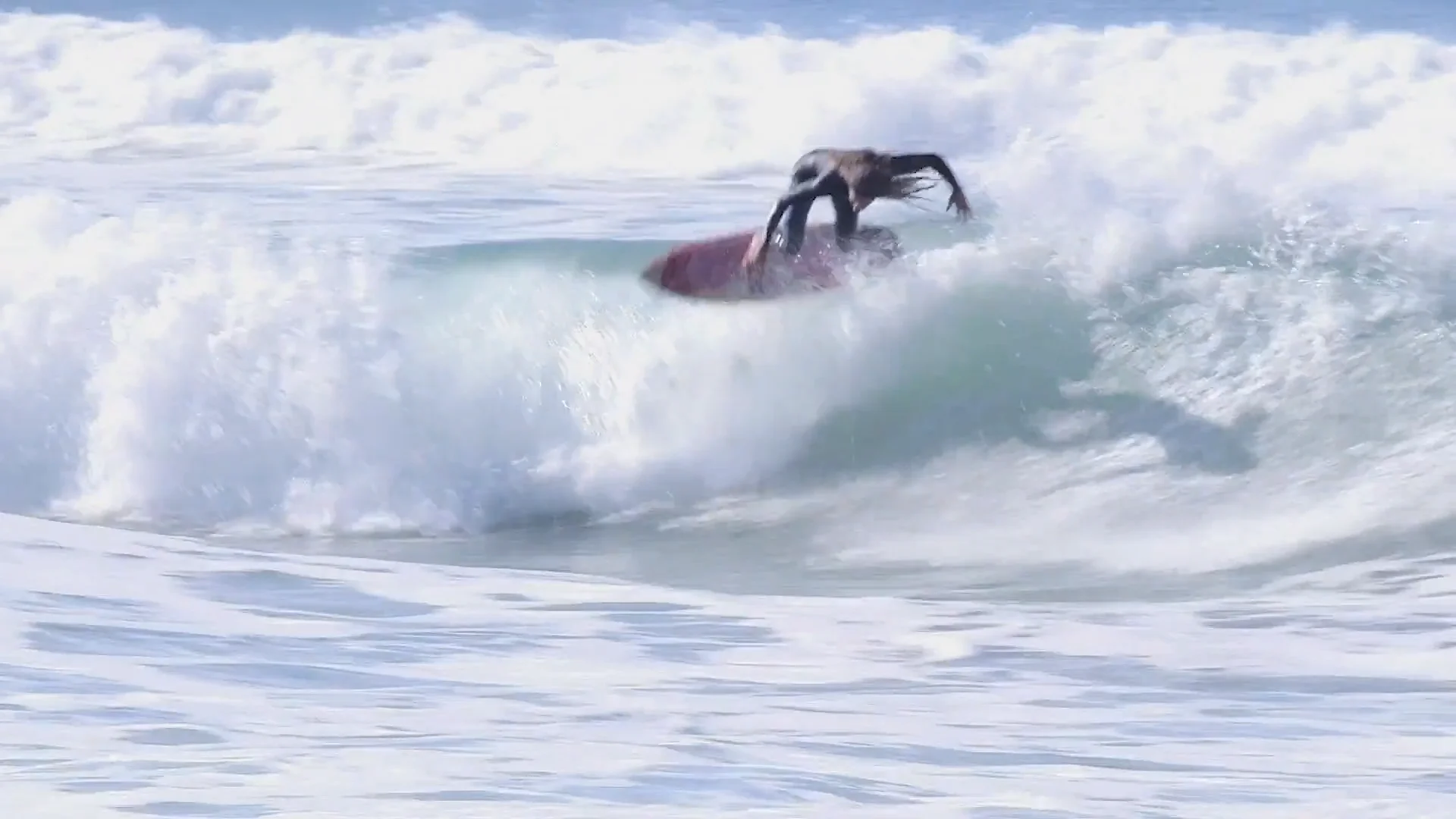 The Almond Butter | Videos & Movies on Vimeo