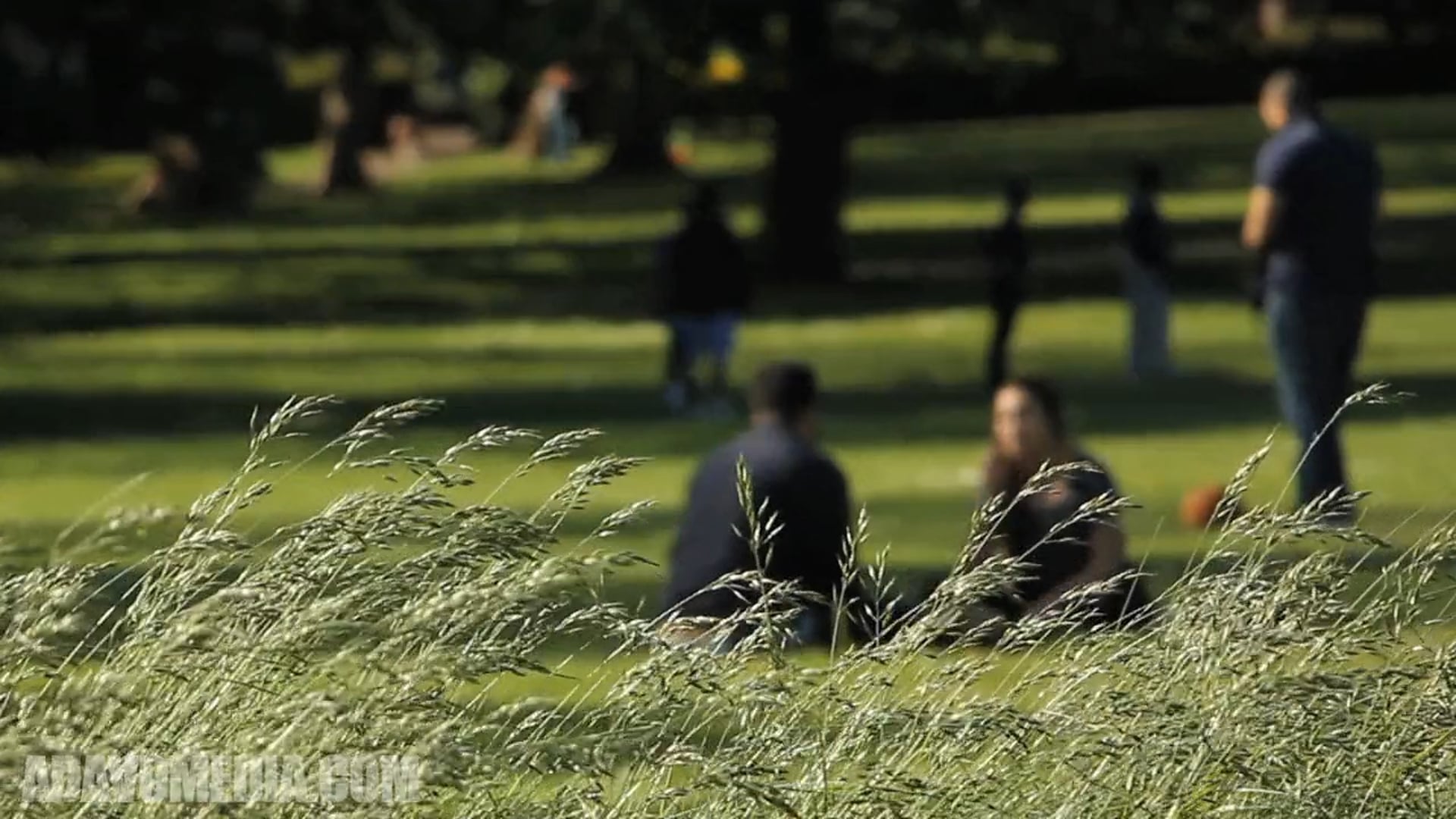 THE LARGEST REGENERATION PROJECT IN EUROPE | A 60 Second film showing the best events, people & places in London’s biggest Borough