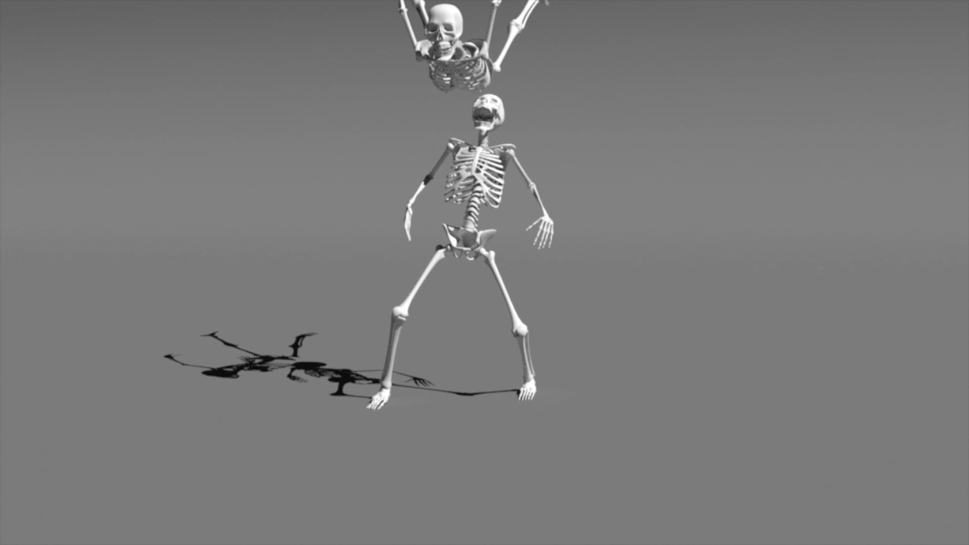 Skeleton Test