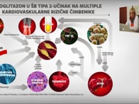 Inzulinska rezistencija u šećernoj bolesti tipa 2 – 1. dio (prof. dr. sc. Lea Duvnjak - KB Merkur)