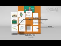 02. Rudzik