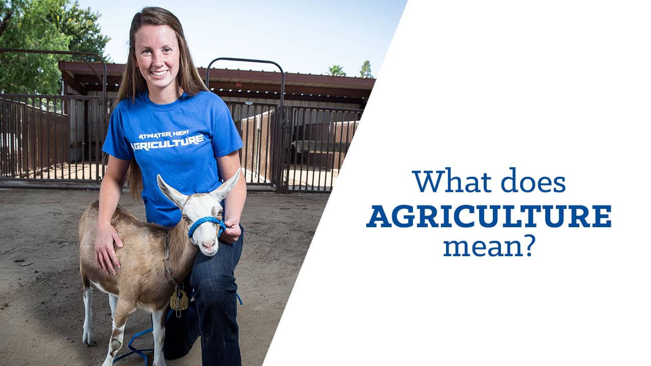 What does agriculture mean? on Vimeo