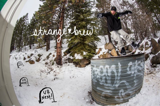 Strange Brew - Flower Petals