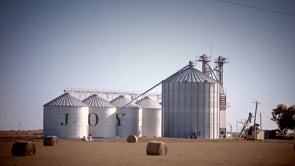 Merry Texas Christmas