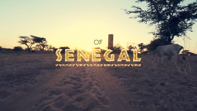 Feel The Sounds of Senegal