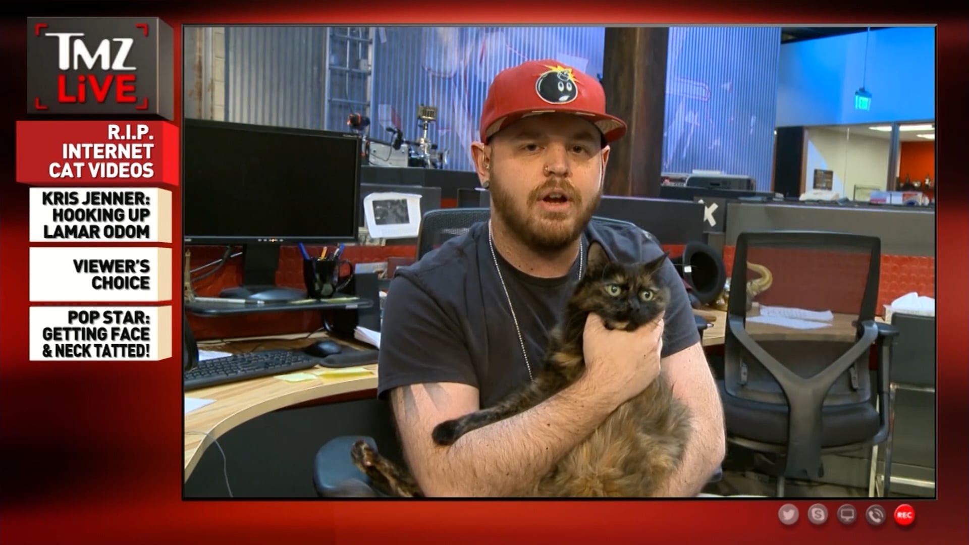 PRESS - Truth - Catmageddon - TMZ