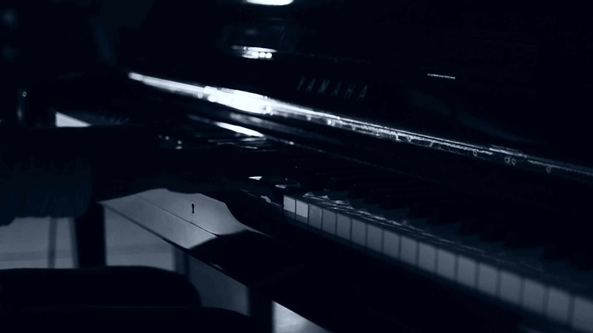 Notification Piano Solo on Vimeo