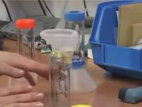 Video Image
