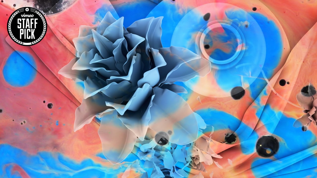 Screenshot of Tourist - To Have You Back (Official Video)