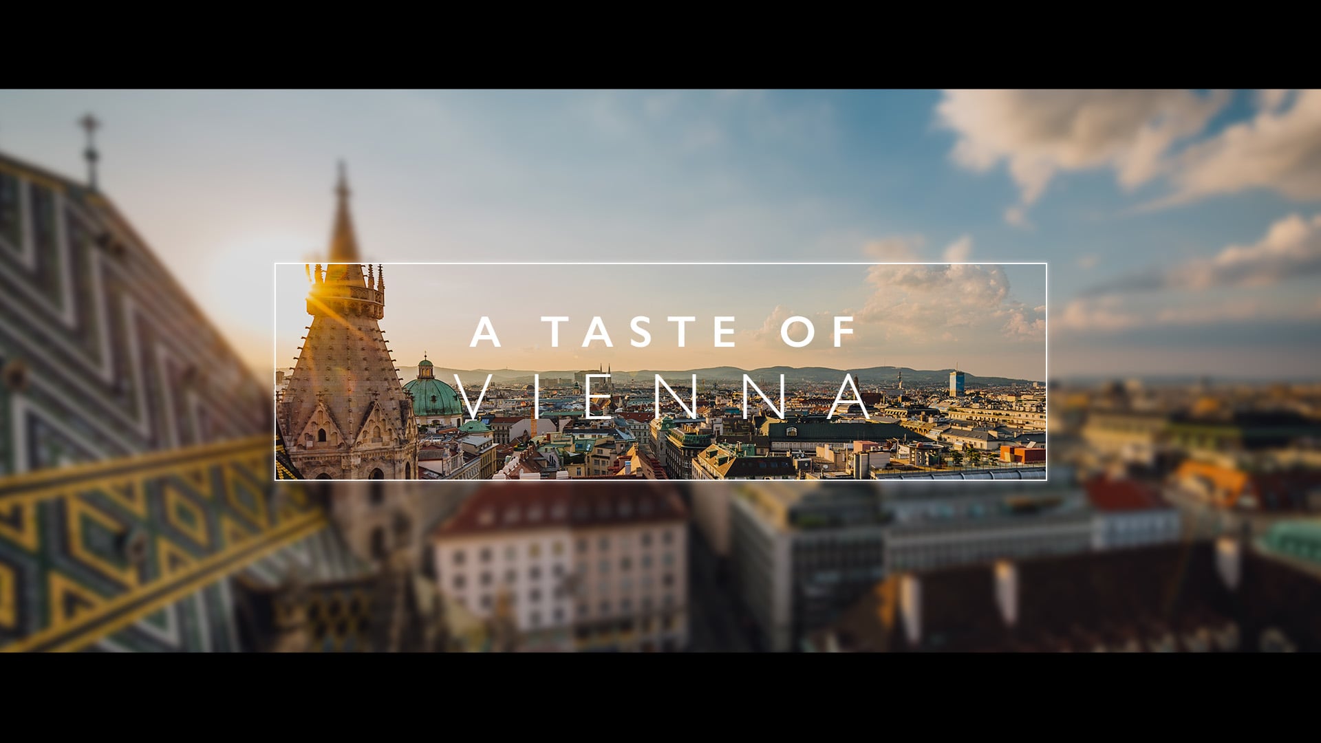 A Taste of Vienna