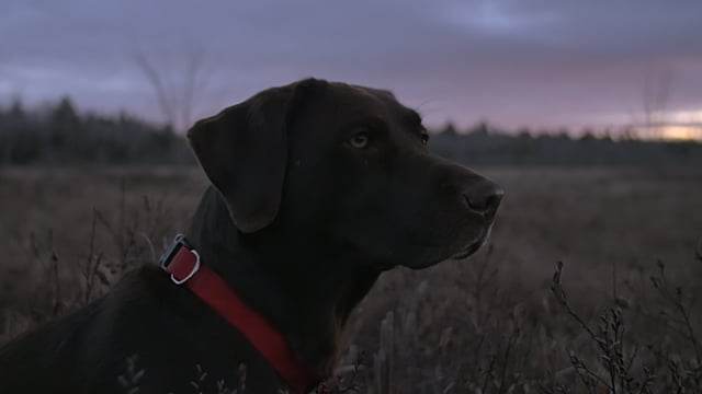 Land for Maine's Future - Customer Success Story