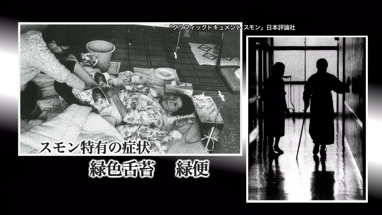 PMRJ-一般財団法人 医薬品医療機器レギュラトリーサイエンス財団