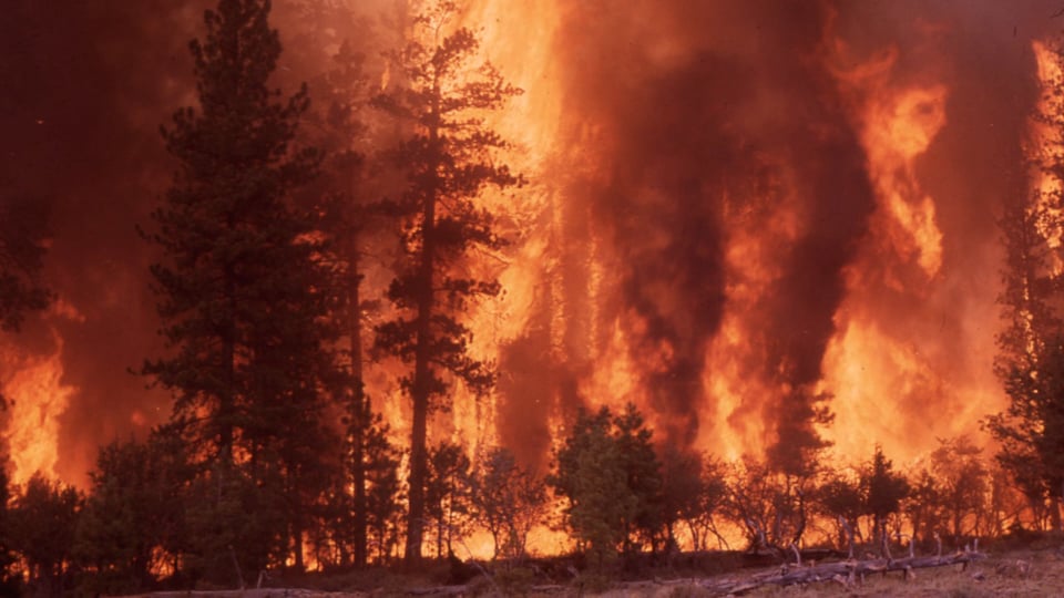 Memorable Fires
